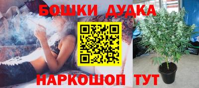 прущие крисы Краснодар