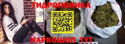 гашик Краснокаменск