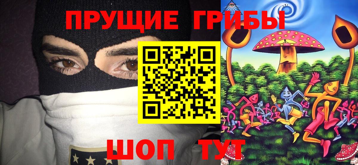 Галлюциногенные грибы мицелий  Вход с VPN  Кизилюрт 